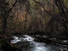-叠溪松坪沟景区