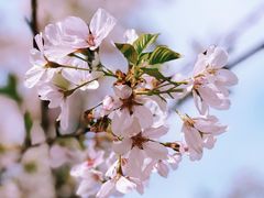 -新虹桥中心花园