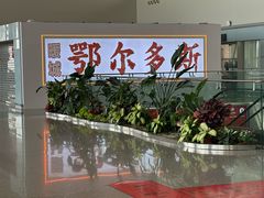 -鄂尔多斯伊金霍洛国际机场