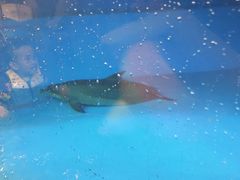 -横琴湾水世界