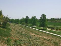 -洨河生态公园