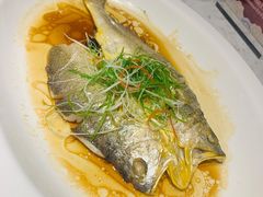 清蒸东海大黄鱼-金汤宴餐厅·粤菜(德云社店)