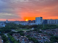 -东华大学(松江校区)