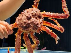 -古京·臻致料理(月湖店)