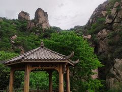 -大岭沟猕猴桃谷风景区