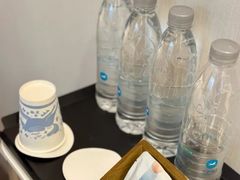 -汉庭优佳(上海恒隆广场南京西路地铁站店)