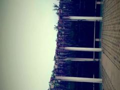 -紫颐香薰山谷景区