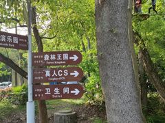-WeLope紫金山探险公园