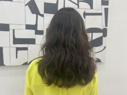 -东方麒麟·潘多拉SALON