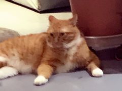 -小时光咖啡馆(开森度假森林店)