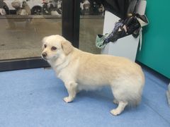 -博特宠物医院24h犬猫全科.骨科·异宠