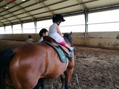 -月河湾马术俱乐部(朝阳店)