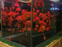 -汉宫汤泉汗蒸洗浴(五四广场店)