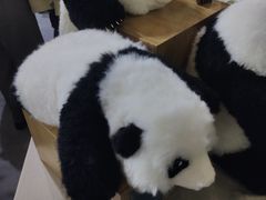 -成都世纪城新国际会展中心
