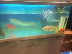 -梵SPA·影院足道·采耳(西藏北路店)