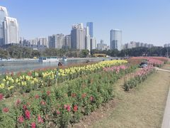 -海心沙亚运公园