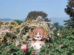 -国家植物园南园