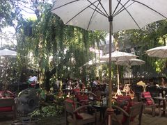 -Fern Forest Cafe