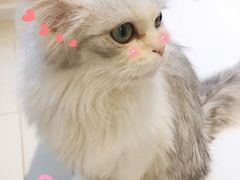 -怪兽屋·羊驼·猫咖·狗咖(俊华广场店)