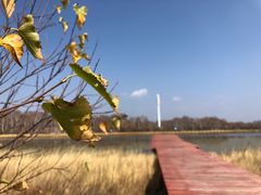 -御道口草原森林风景区