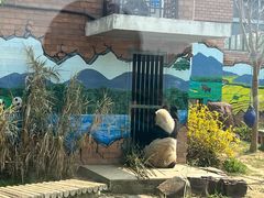 -苏州太湖国家湿地公园