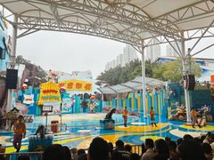 -海合安成都极地海洋公园