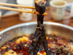 乌鸡-黑竹香鸡(营和巷店)