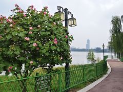 -金银湖国家城市湿地公园