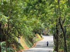 -神光山国家森林公园