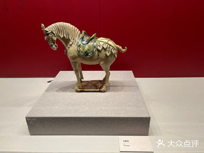 常州博物馆图片