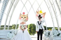 点击看大图 -太郎花子婚纱摄影艺术中心