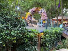 -二荆条·蜀鲜汇城市森林火锅