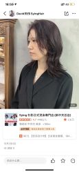 -SY COLOUR专业烫染