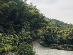 -九龙潭景区