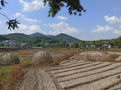 -红山村