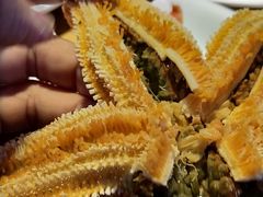 -船歌·鱼水饺青岛菜(金狮广场店)
