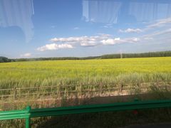-御道口草原森林风景区