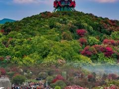 -贵州百里杜鹃风景名胜区