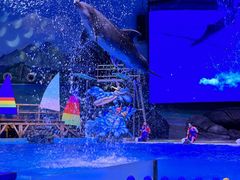 -海合安武汉极地海洋公园