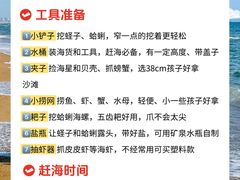 -日照灯塔风景区