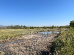 -野鸭湖国家湿地公园