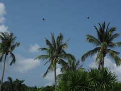-大堂酒廊·亚龙湾万豪度假酒店