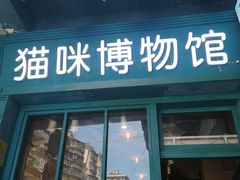 -猫咪博物馆(顶澳仔猫街店)