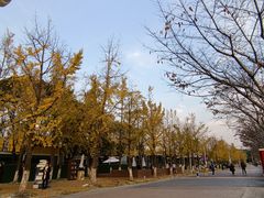 -金陵图书馆