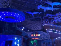 -烟台海昌鲸鲨海洋公园