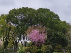 -昆山城市生态森林公园