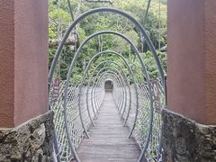 -海南热带雨林国家公园吊罗山景区