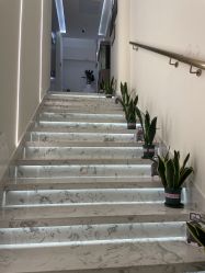 点击看大图 -海涛医疗美容·面部抗衰·注射美鼻