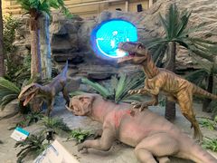 -国家自然博物馆