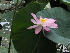 -长春市南湖公园